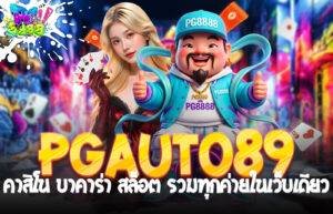 PGauto89