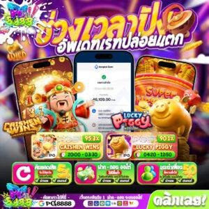 พีจี วอเลท