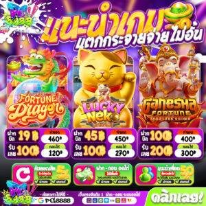 PG Wallets เข้าสู่ระบบ